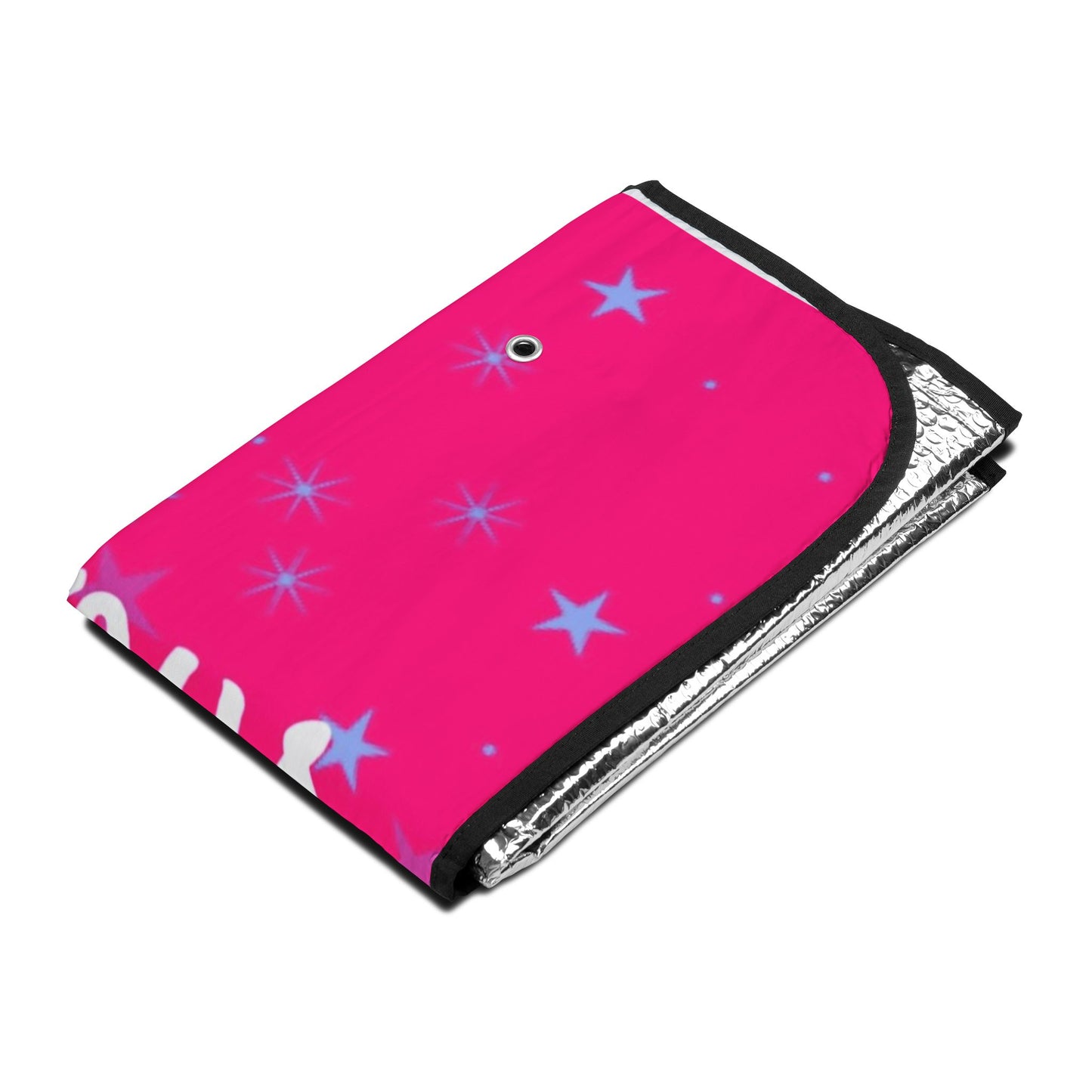 Glamorous Dance Studio Car Sun Shade