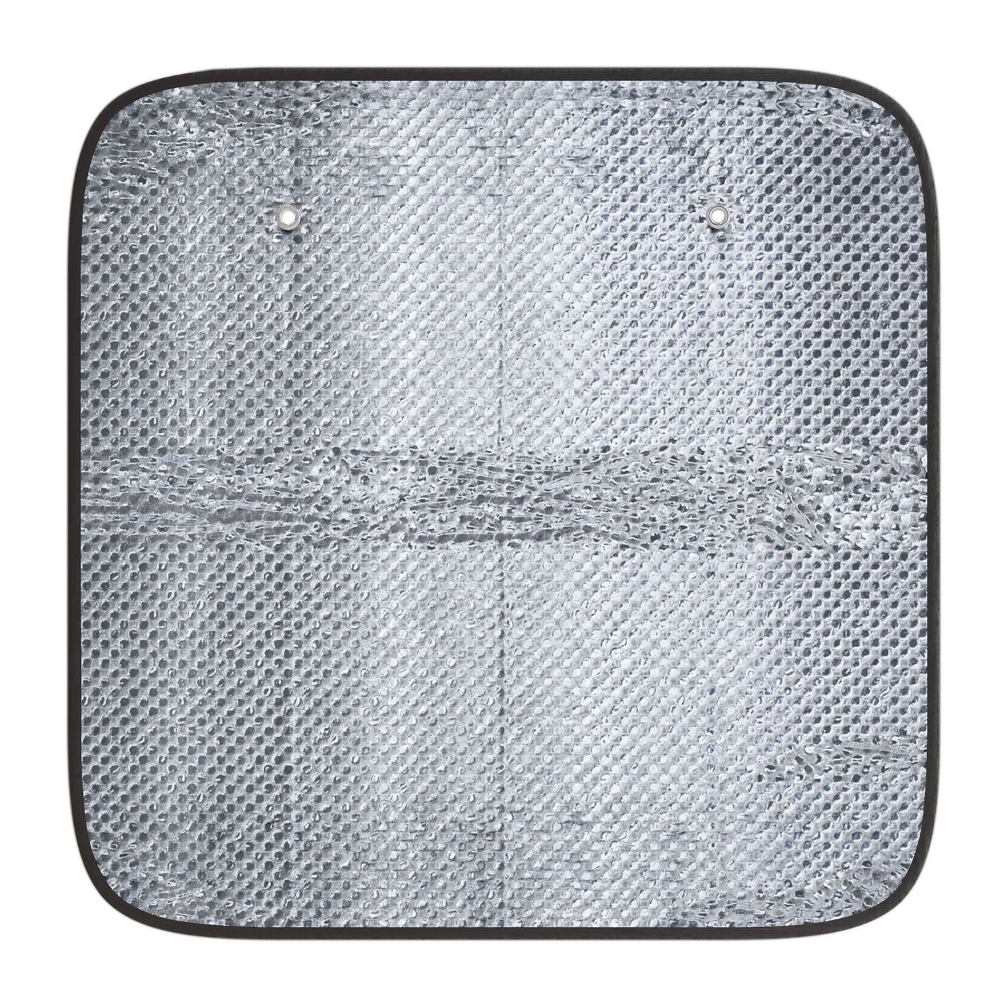 Glamorous Dance Studio Car Sun Shade